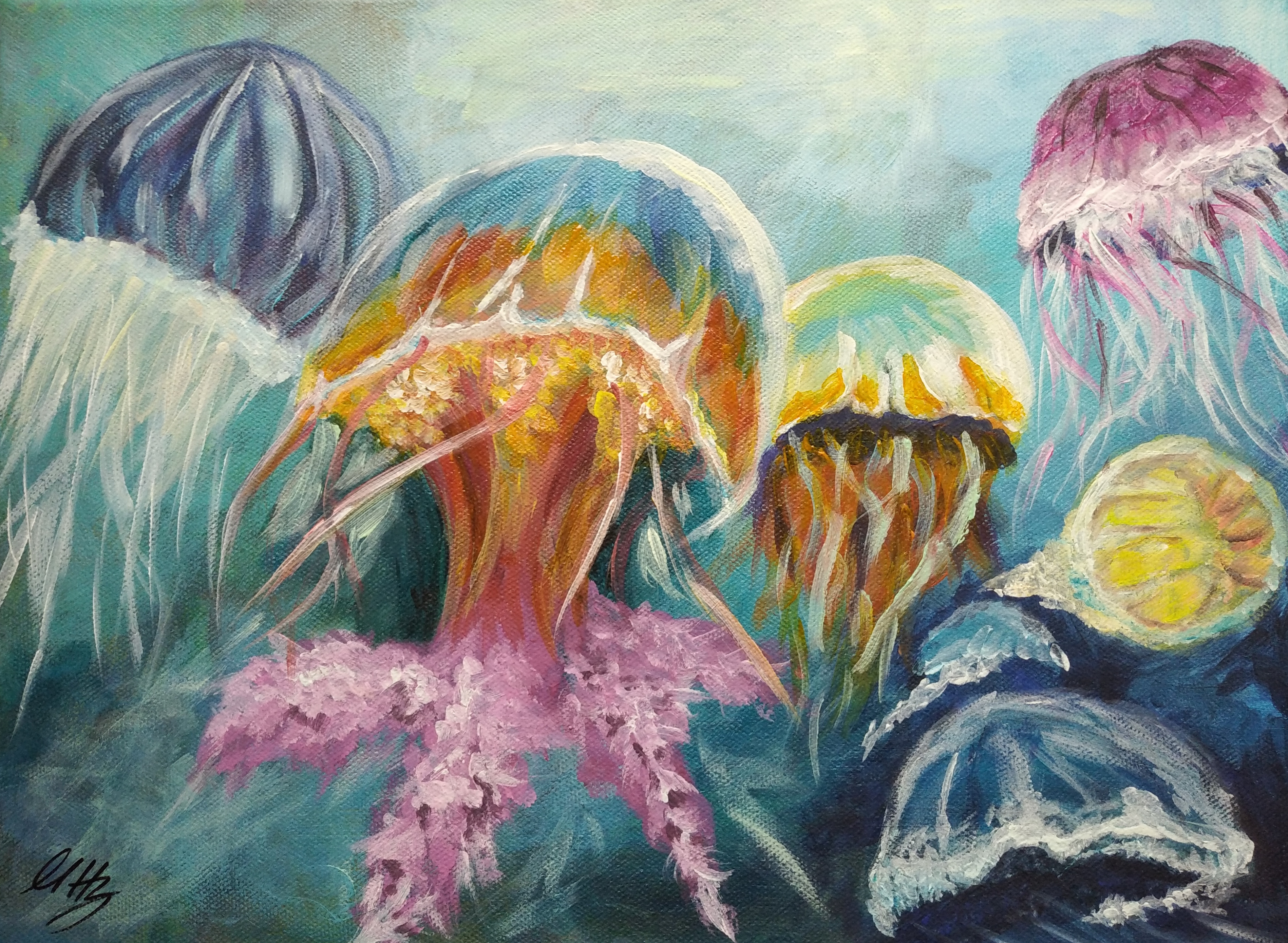 Jelly fishes