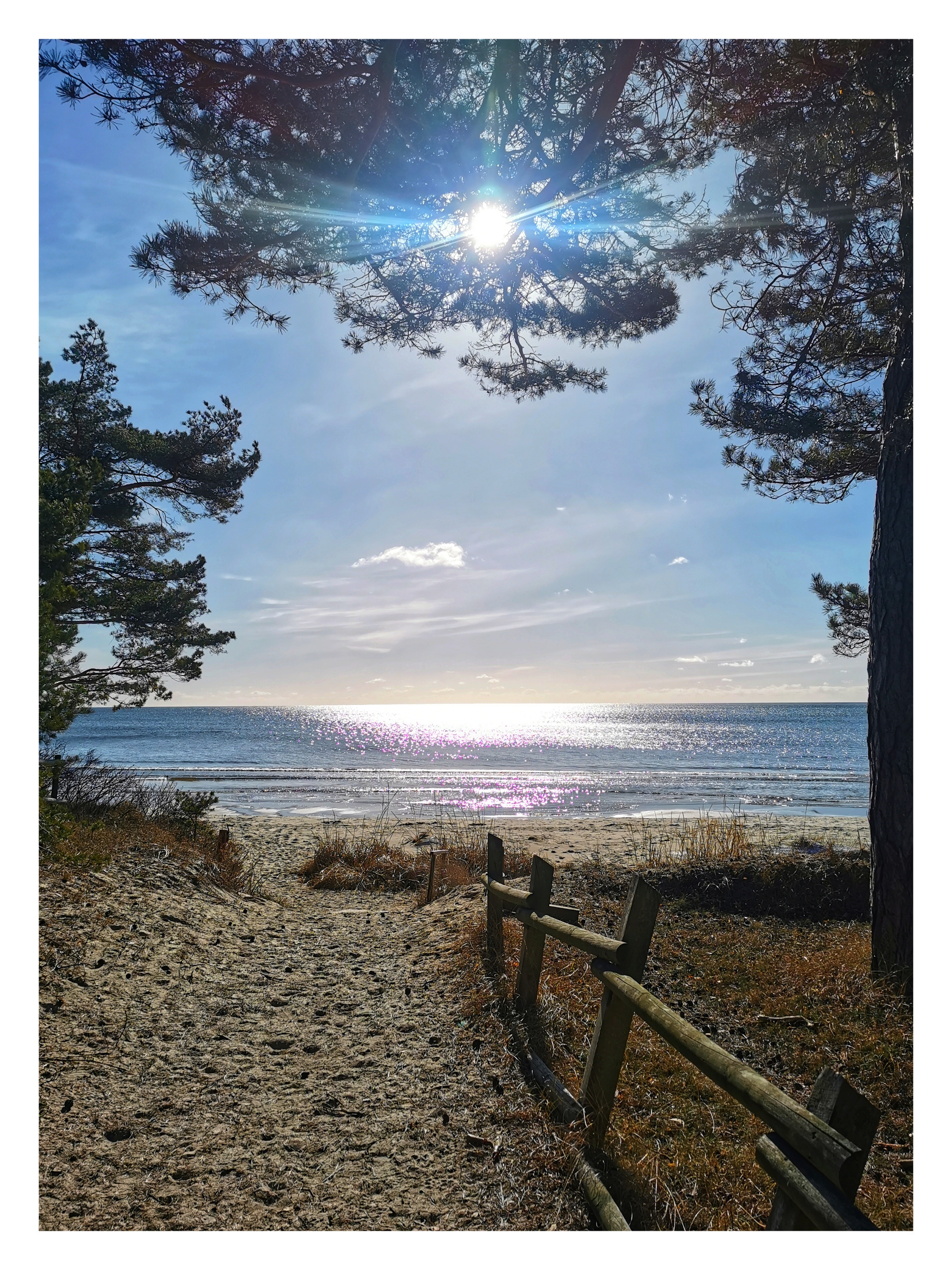 Spring by the sea 